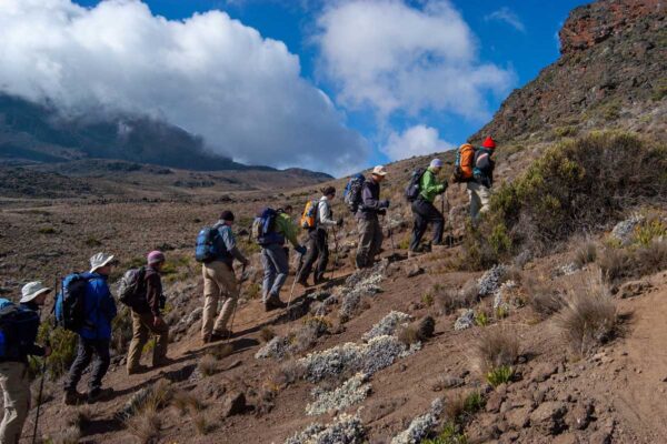 7 Day – Kilimanjaro trek via Machame Route