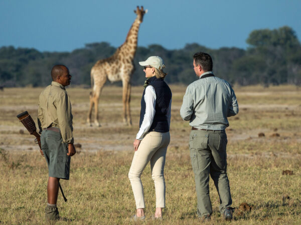 5-Day Northern Parks Explorer: Tarangire, Manyara & Ngorongoro