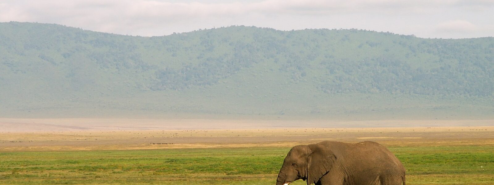 Ngorongoro Conservation Area