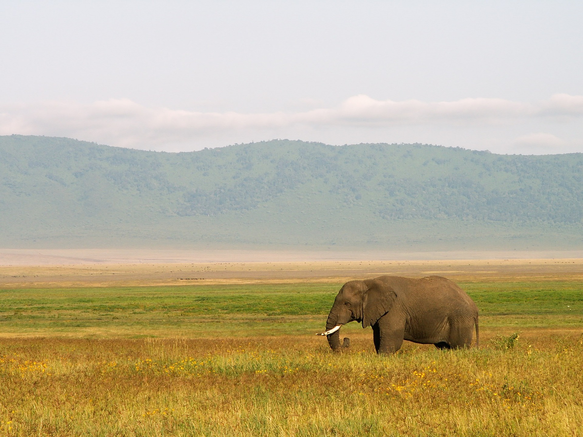 Ngorongoro Conservation Area