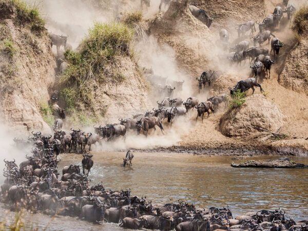 9-Day Serengeti Wildebeest Migration & Big Five Safari