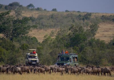Why Choose a Local Tour Operator in Tanzania for Your Safari