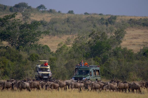 8-Day Southern Tanzania Adventure: Nyerere, Mikumi & Ruaha Explorer