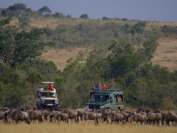 8-Day Southern Tanzania Adventure: Nyerere, Mikumi & Ruaha Explorer