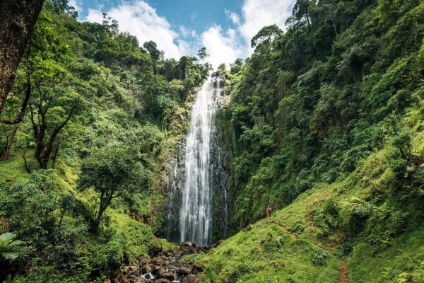Materuni Waterfalls & Coffee Experience – Day Trip