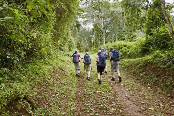 Mount Kilimanjaro Forest Day Hike