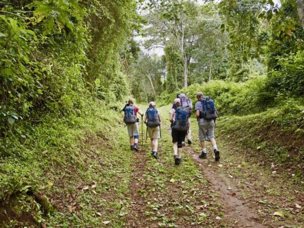 Mount Kilimanjaro Forest Day Hike